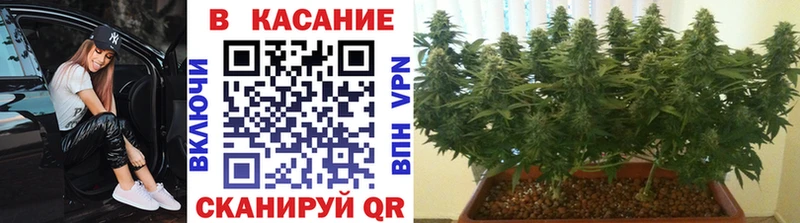 Купить наркотик аптеки Грозный ГАШ  Cocaine  Меф  hydra ссылка  Марихуана  Alpha PVP 