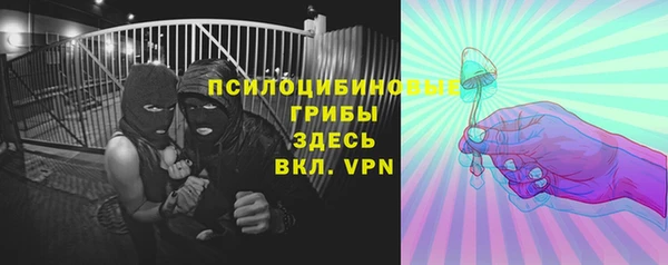 ПСИЛОЦИБИНОВЫЕ ГРИБЫ Бугульма