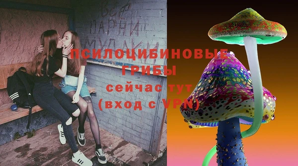 ПСИЛОЦИБИНОВЫЕ ГРИБЫ Бугульма
