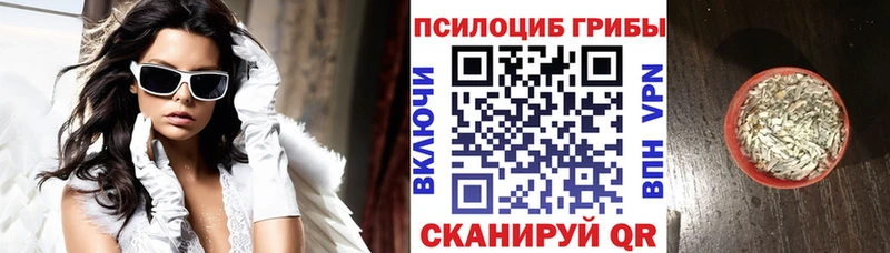 Псилоцибиновые грибы Cubensis  дарнет шоп  нарко площадка Telegram  Грозный 